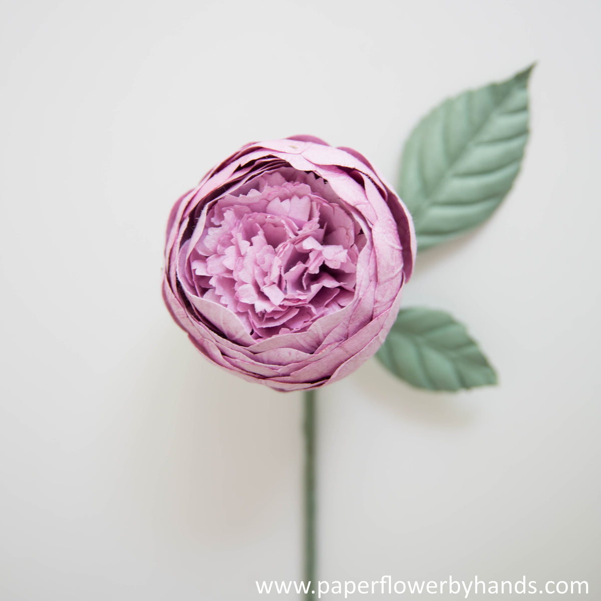 Dark pink peony round