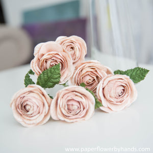 Pink Blush Rosa Rose