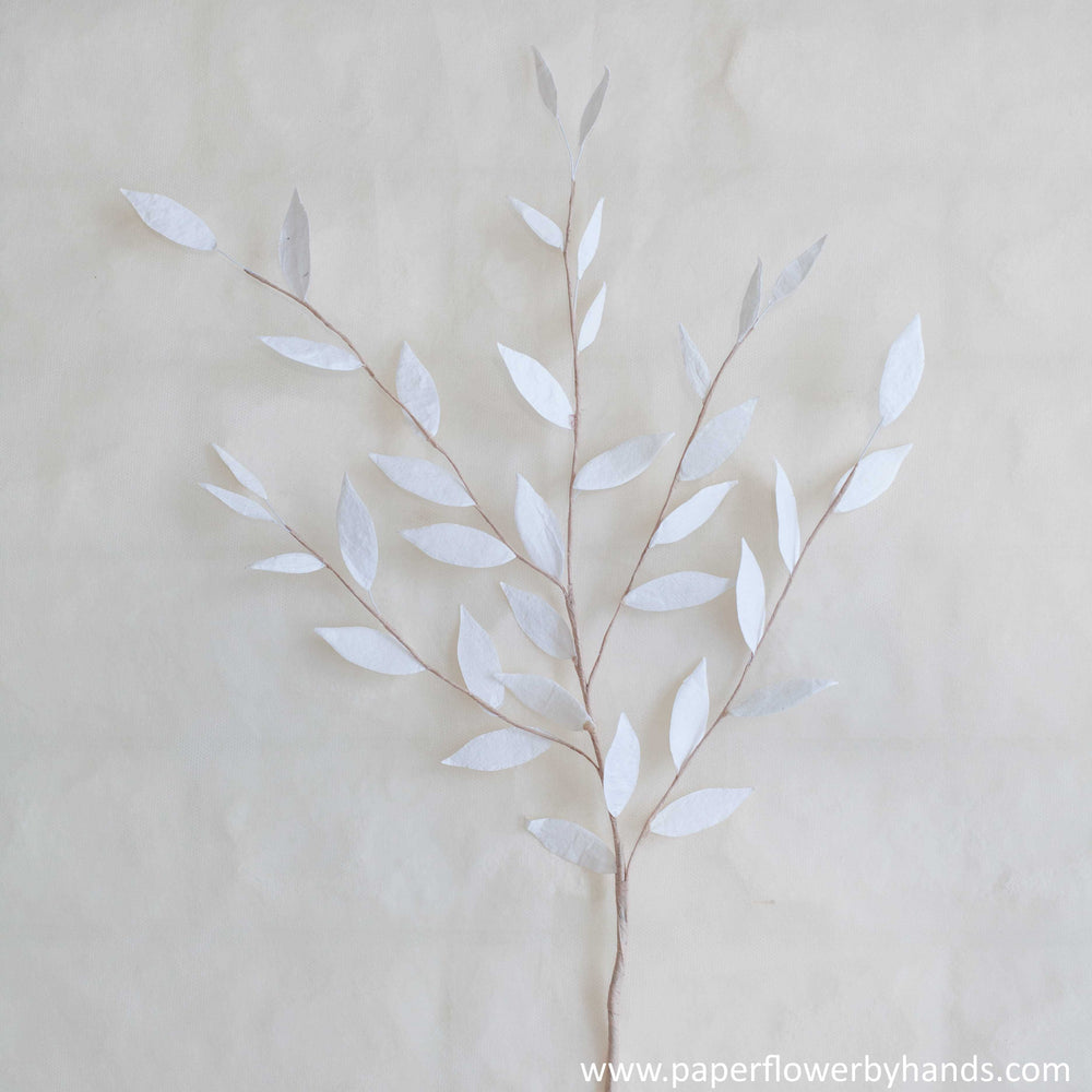 White Italian ruscus leaves