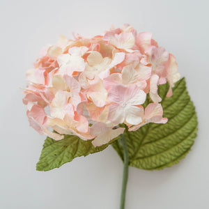 
            
                Load image into Gallery viewer, Pink candy hydrangea
            
        