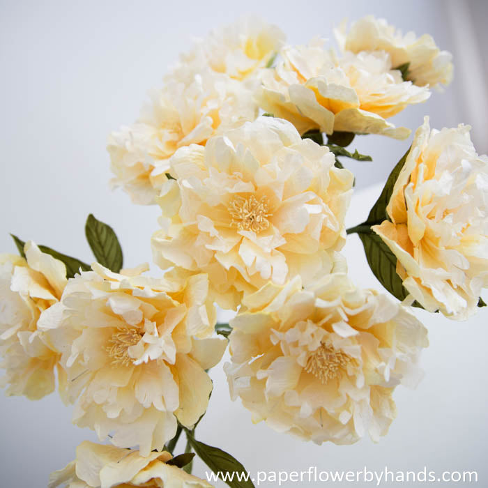 
            
                Load image into Gallery viewer, Yellow peony bloom
            
        