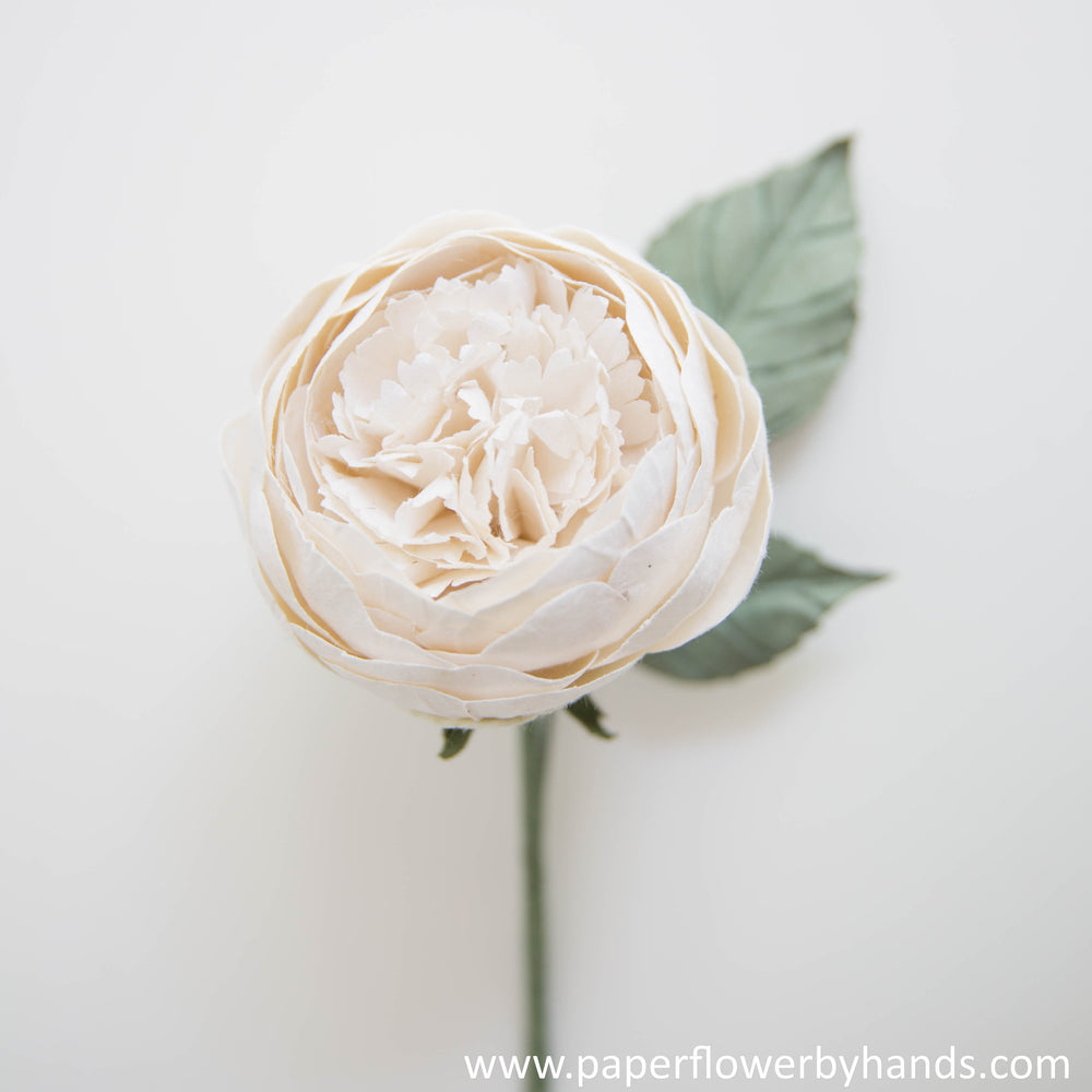 
            
                Load image into Gallery viewer, White peony round
            
        