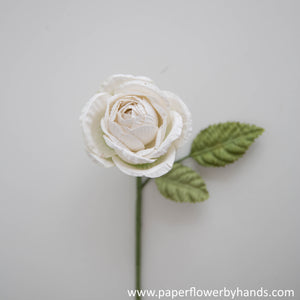 
            
                Load image into Gallery viewer, White Rosa Rose
            
        