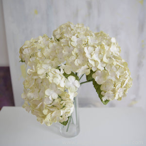 
            
                Load image into Gallery viewer, White Cream Hydrangea
            
        