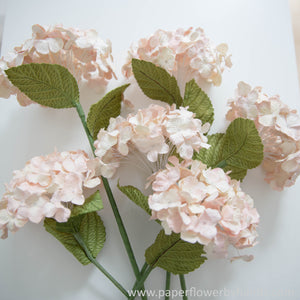 
            
                Load image into Gallery viewer, Pink candy hydrangea
            
        