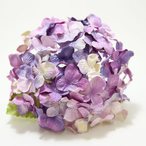 Purple periwinkle hydrangea