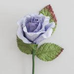 Blue Royal Rose Medium