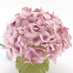 
            
                Load image into Gallery viewer, Lavender hydrangea
            
        