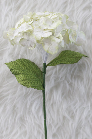 
            
                Load image into Gallery viewer, White Cream Hydrangea
            
        