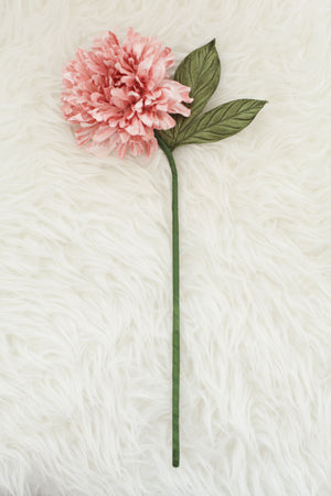 Blush pink dahlia