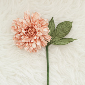 
            
                Load image into Gallery viewer, Vintage old rose dahlia
            
        