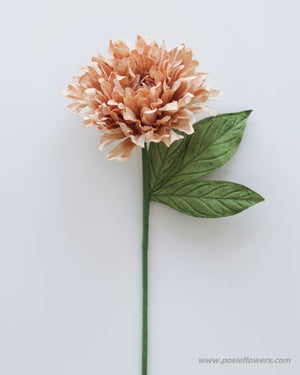 
            
                Load image into Gallery viewer, Vintage old rose dahlia
            
        