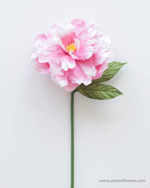 
            
                Load image into Gallery viewer, Dark pink peony bloom
            
        