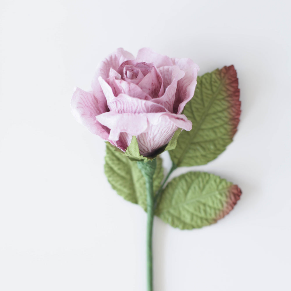 Mauve Purple Rose Medium