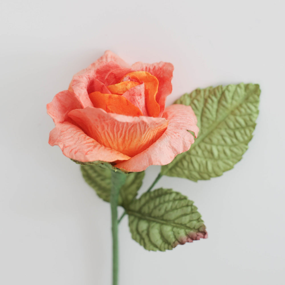 
            
                Load image into Gallery viewer, Orange Sunset Rose Medium
            
        